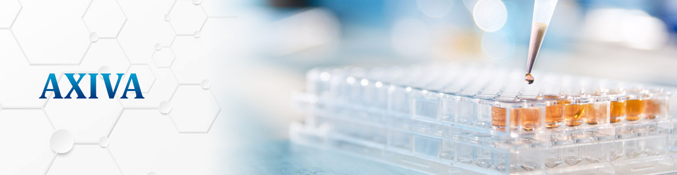 Axiva Banner