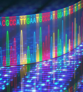 Next gen Sequencing
